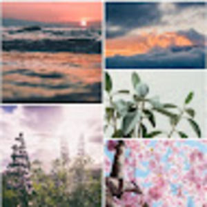 Meet your Posher, Brynn